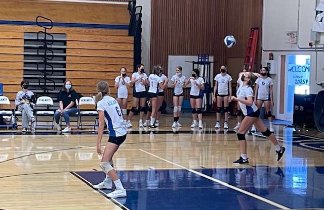 Frosh Volleyball: We Bring Our A Game to Win