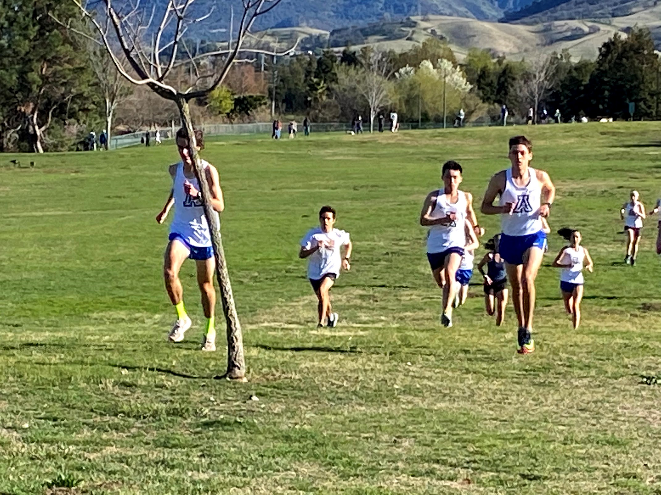 Dons Cross Country: Off to the Races! – Acalanes Boosters