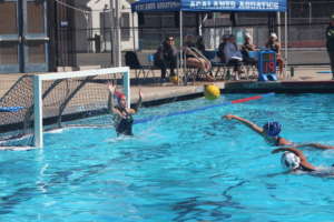 JV Water Polo Lady Dons Easily Defeat San Ramon Valley
