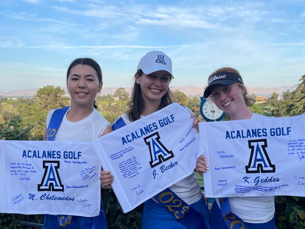 Lady Don Senior Golfers Honored