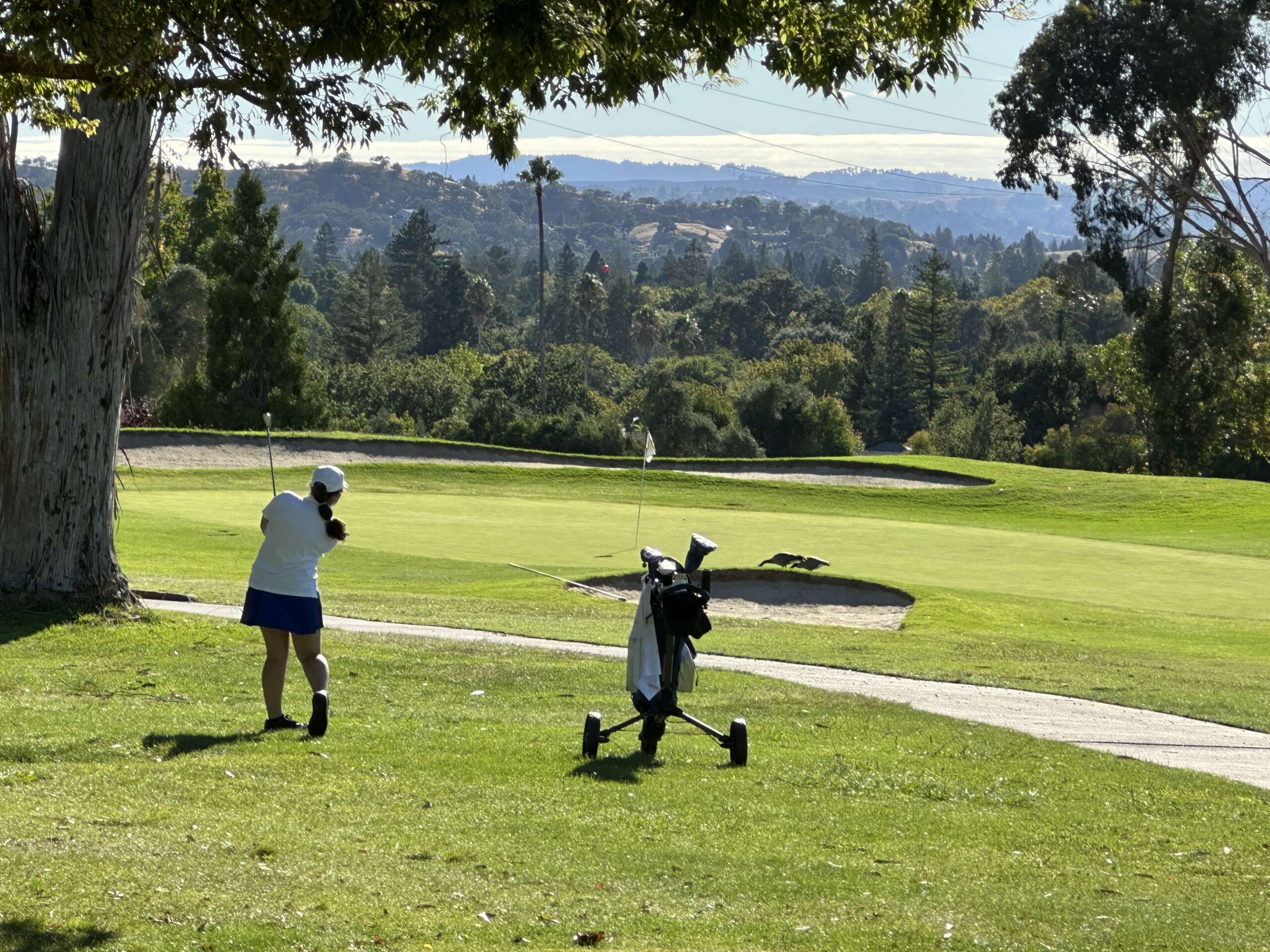 Golfers edged at Boundary Oaks Acalanes Boosters