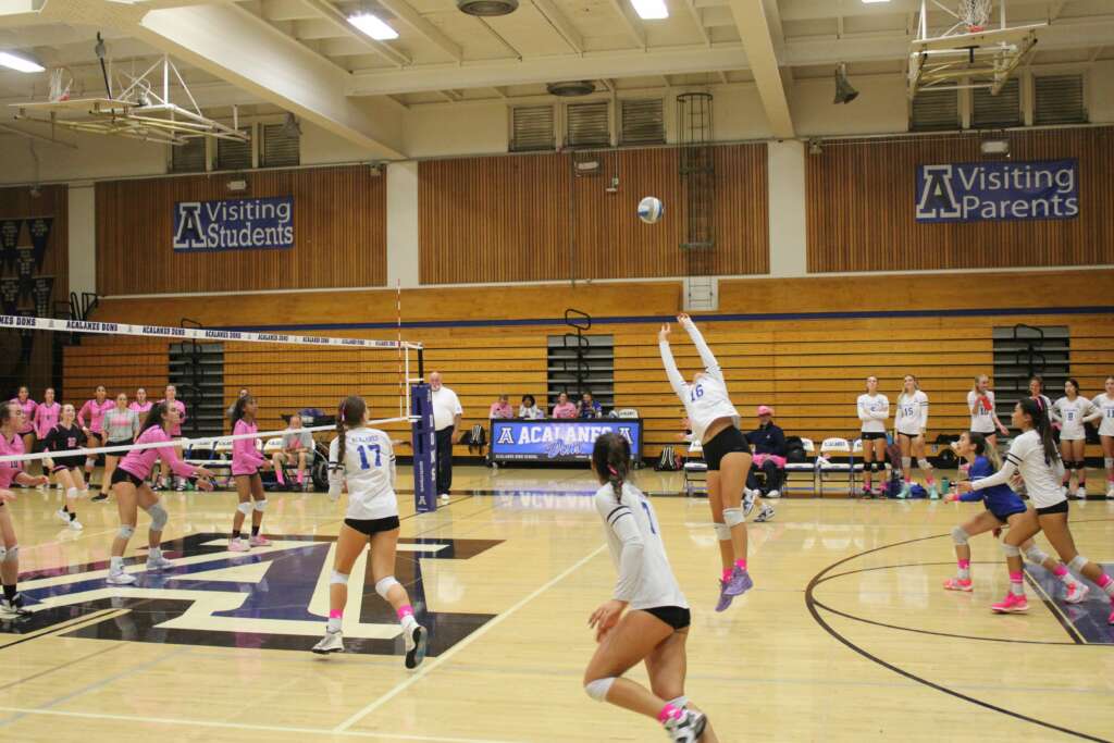Acalanes Varsity Girls Volleyball get back to their winning ways with 3 set victory over visiting Las Lomas