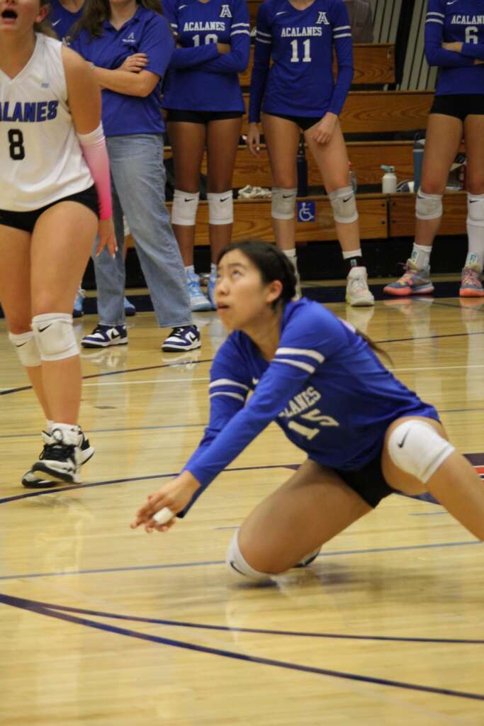 Las Lomas Knights Fall to Girls Varsity Volleyball on Senior night!