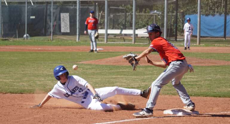 Freshman Dons Baseball Dominate Dublin 19–1 Behind Strong Pitching, Explosive Offense
