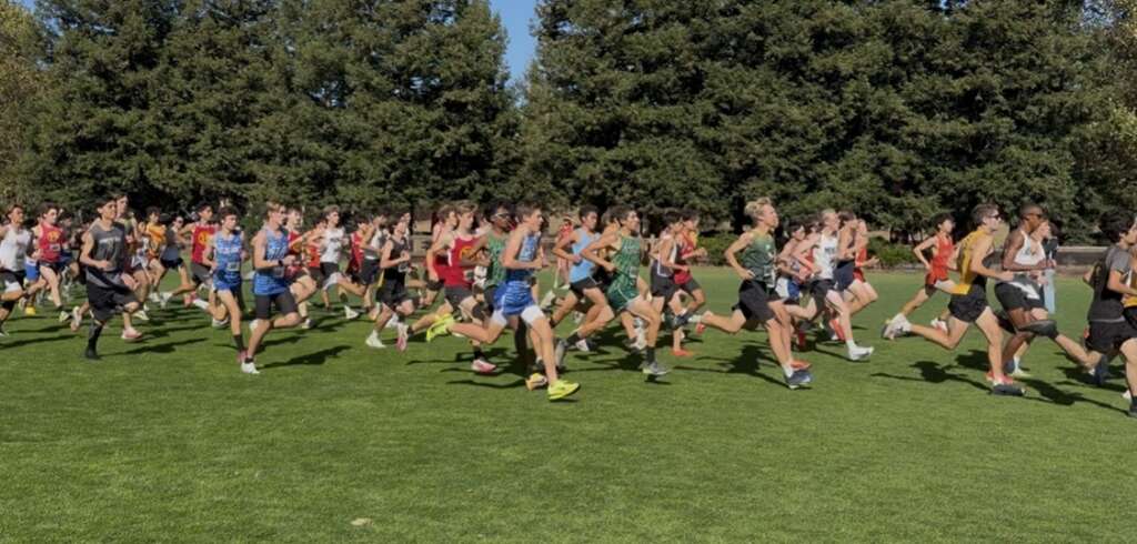 Acalanes Cross Country Hits the Ground Running at St. Mary’s Invitational
