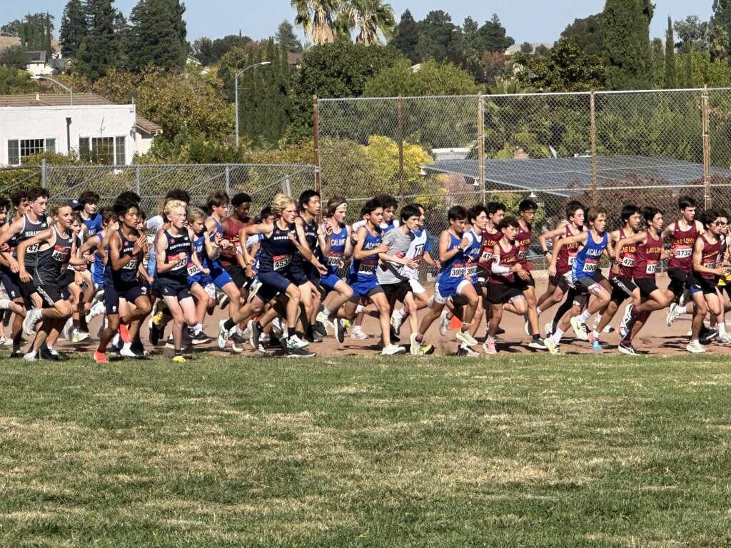 Acalanes Cross Country Opens League Season, Then Wins Both Varsity Divisions at Be the GOAT Invitational