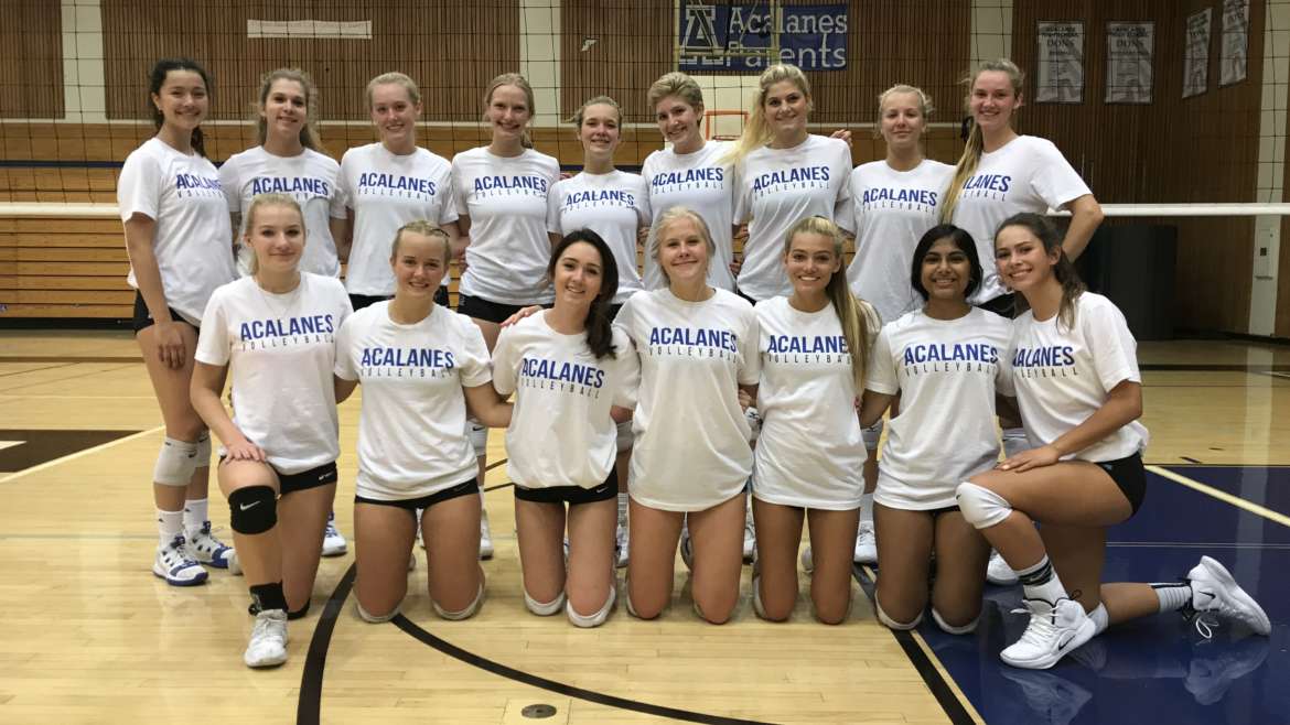 Acalanes Varsity Girls Volleyball: 2019 Season Preview